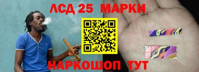 гашик Новозыбков