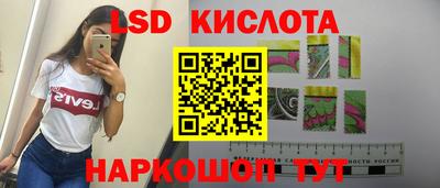 гашик Новозыбков