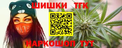 гашик Новозыбков