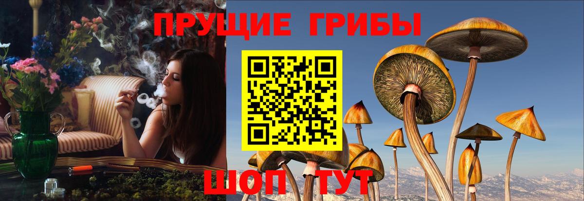 Псилоцибиновые грибы прущие грибы  Вход с VPN  даркнет сайт  Пугачёв 
